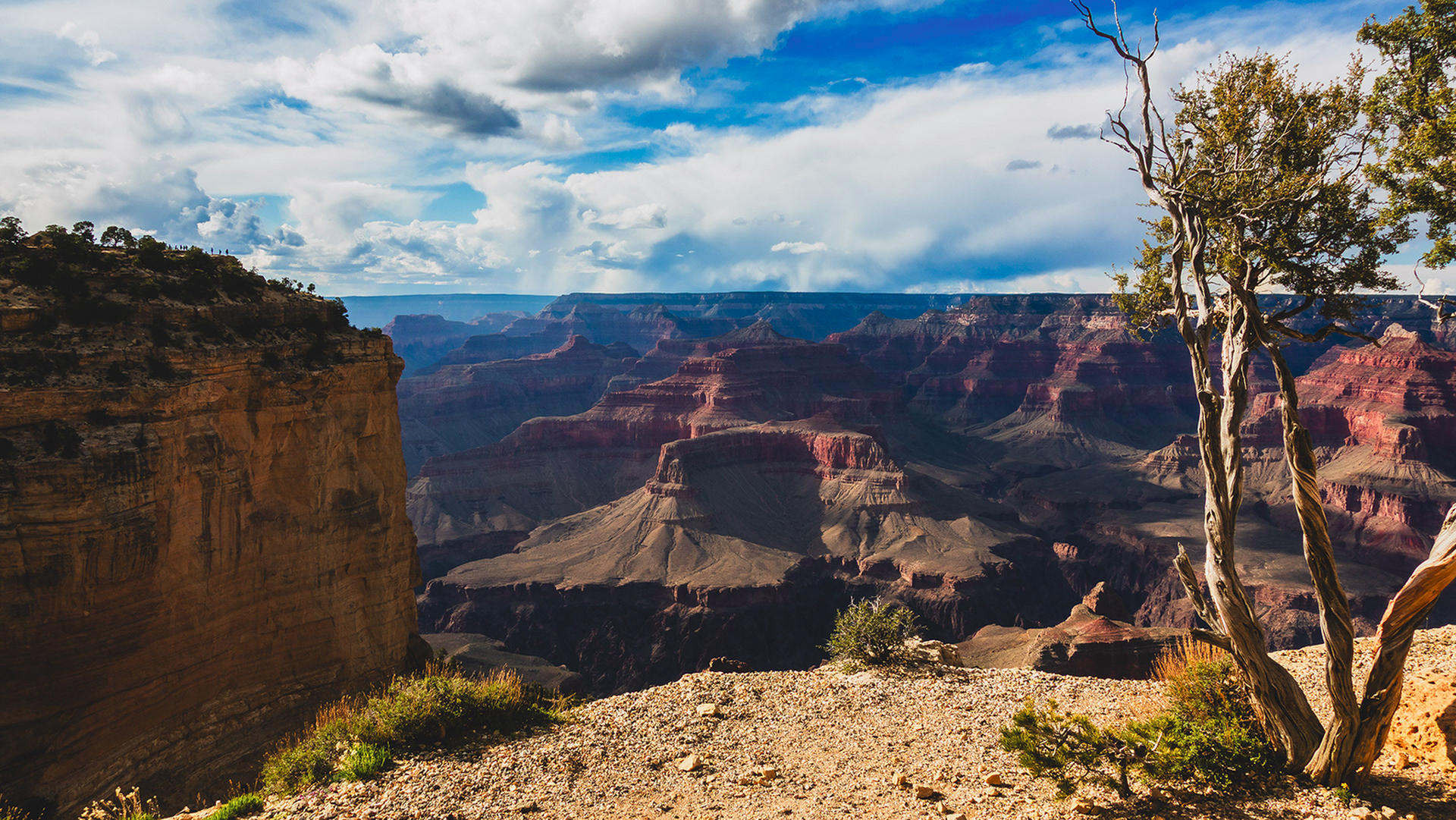 Grand Canyon vista by B.D. Photography